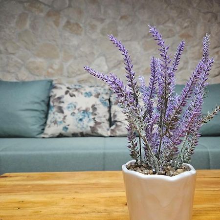 זאדאר Dalmatia Rustica Comfortable One Bedroom+Fireplace מראה חיצוני תמונה
